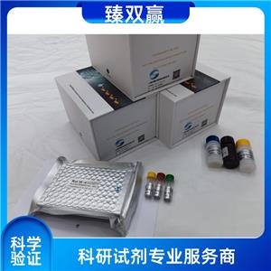 人粘蛋白5B抗体(MUC5B-Ab)ELISA试剂盒