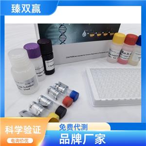 人衣原体IgA抗体(CHLA-IgA Ab)ELISA试剂盒