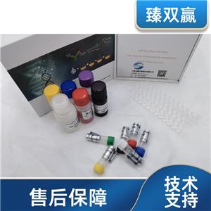 人衣原体IgA抗体(CHLA-IgA Ab)ELISA试剂盒