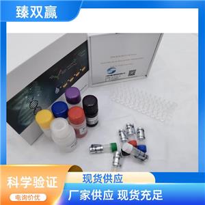 人曼氏裂头蚴IgG抗体(SM-IgG-Ab)ELISA试剂盒