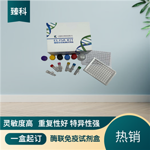 大鼠氨基己糖苷酶Bβ(HEXβ）ELISA试剂盒ZK-5886