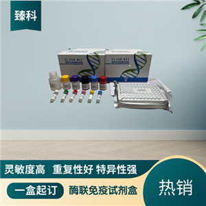 大鼠（Rat）β-血小板球蛋白(βTG）ELISA试剂盒,Rat  βTG  ELISA KIT