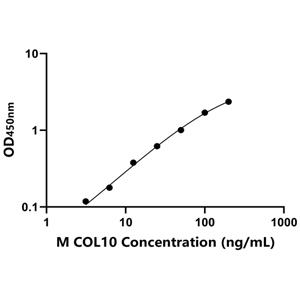 COL10 ELISA KIT / 小鼠Ⅹ型胶原 ELISA试剂盒