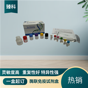 大鼠（Rat）β-羟丁酸(OHβ）ELISA试剂盒,Rat  OHβ  ELISA KIT