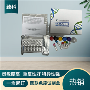 大鼠（Rat）β-内啡肽(βEP）ELISA试剂盒,Rat  βEP  ELISA KIT