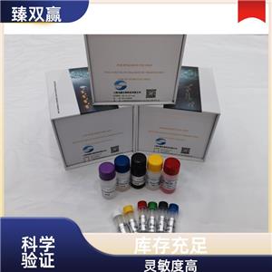 人抗卵细胞透明带抗体(AZP Ab)ELISA试剂盒