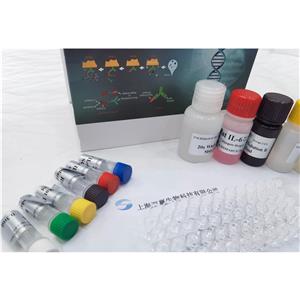 人多巴胺受体自身抗体(D2RAA)ELISA试剂盒