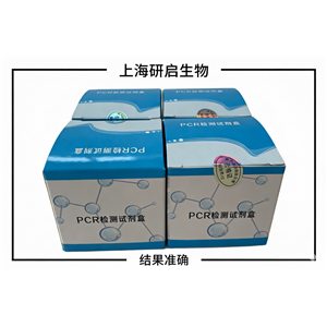 致病性大肠杆菌(EPEC)核酸检测试剂盒