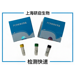 嗜水气单胞菌（AH）核酸检测试剂盒