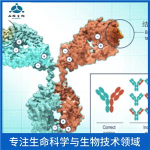 HEG同源蛋白1抗体,HEG1 Rabbit pAb