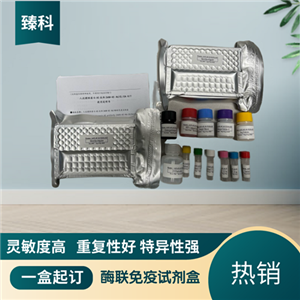 大鼠WAP四二硫化物核心域蛋白1(WFDC1）ELISA试剂盒,Rat WFDC1 ELISA KIT