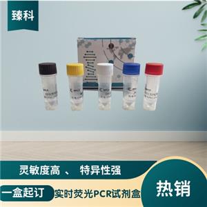 猫艾滋病毒核酸试剂盒（荧光PCR法）