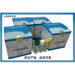 高致病性猪蓝耳病病毒(PRRSV-M)核酸检测试剂盒(荧光-PCR法)