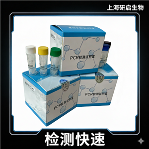 日本乙型脑炎病毒(JEV)核酸检测试剂盒(荧光-PCR法)