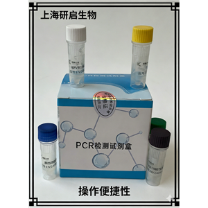 猪劳森氏胞内菌(LI)核酸检测试剂盒(荧光-PCR法)