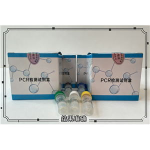 猪劳森氏胞内菌(LI)核酸检测试剂盒(荧光-PCR法)