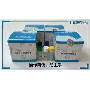 伪狂犬病毒通用型(PRV-gB)核酸检测试剂盒(荧光-PCR法)