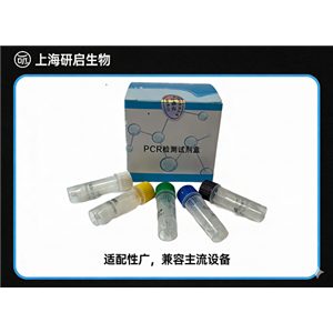 高致病性禽流感H7亚型病毒核酸检测试剂盒(荧光-PCR法)