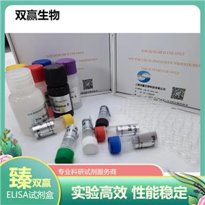 人增殖细胞核抗原抗体(PCNA)ELISA试剂盒