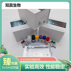 人布鲁氏菌IgG抗体(Brucella Ab IgG)ELISA试剂盒