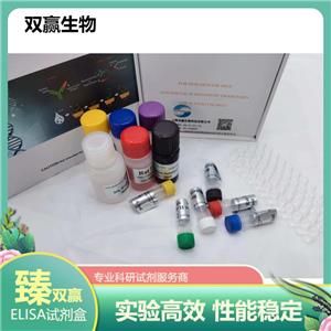 人胰岛素受体底物2磷酸化(P-IRS2)ELISA试剂盒