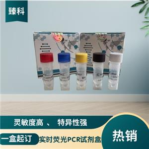 犬冠状病毒(CFCOV）核酸试剂盒(荧光-PCR法)