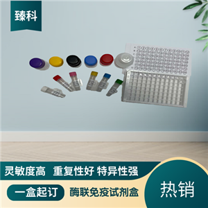 大鼠UDP葡萄糖醛酸转移酶2家族多肽B7(UGT2B7）ELISA试剂盒,Rat  UGT2B7  ELISA KIT