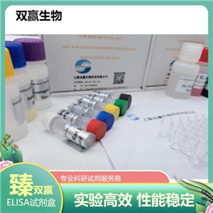 人载脂蛋白J(apo-J)ELISA试剂盒