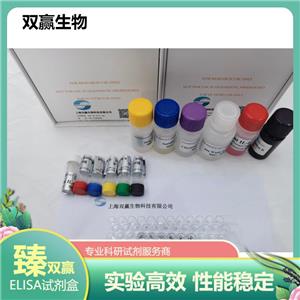 人胰岛素受体β(ISR-β)ELISA试剂盒
