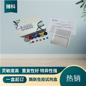 大鼠（Rat）T-细胞激活连接蛋白(LAT）ELISA试剂盒,Rat  LAT  ELISA KIT