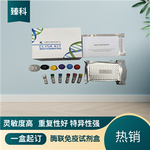 大鼠（Rat）Toll样受体6(TLR6）ELISA试剂盒,Rat  TLR6  ELISA KIT