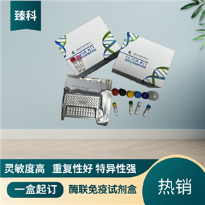 大鼠（Rat）SPARC样蛋白1(SPARCL1）ELISA试剂盒