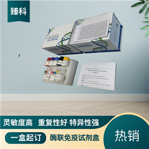 大鼠（Rat）SPARC样蛋白1(SPARCL1）ELISA试剂盒,Rat  SPARCL1  ELISA KIT