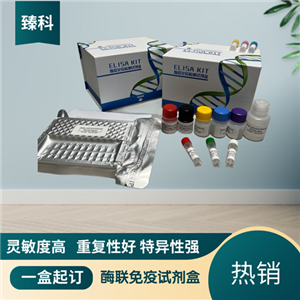 大鼠（Rat）Smad同源物7(Smad7）ELISA试剂盒