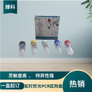 鼠伤寒沙门氏菌（ST）核酸试剂盒（荧光PCR法）