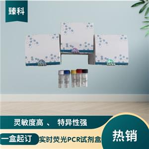 禽流感病毒N1亚型(AIV-N1)核酸试剂盒（荧光PCR法）