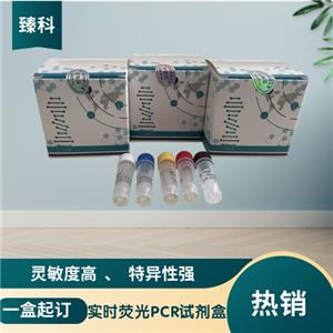 禽流感病毒N1亚型(AIV-N1)核酸试剂盒（荧光PCR法）