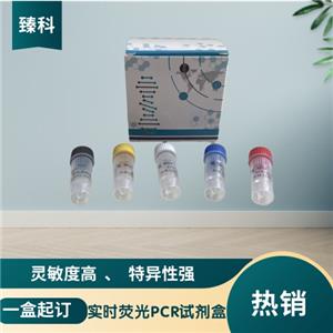 甲型流感病毒H8亚型(IAV-H8)核酸试剂盒