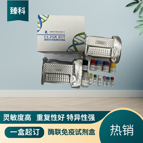 大鼠（Rat）S100钙结合蛋白B(S100B）ELISA试剂盒,Rat  S100B ELISA KIT