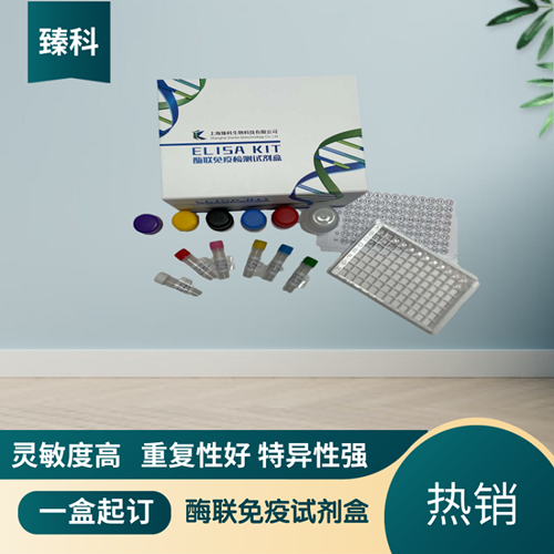 大鼠（Rat）S100钙结合蛋白A6(S100A6）ELISA试剂盒,Rat  S100A6 ELISA KIT