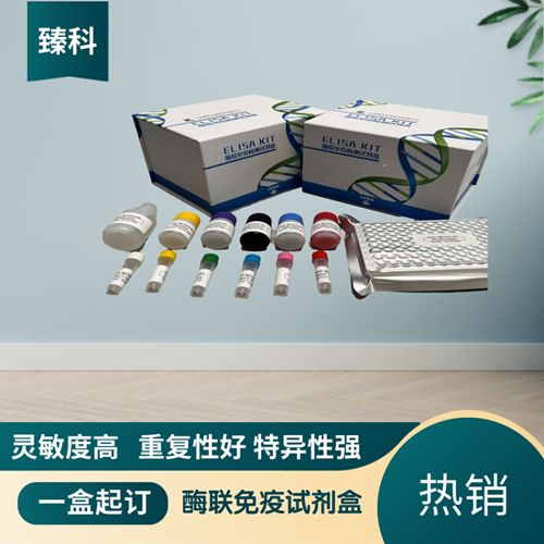 大鼠（Rat）C-肽(C-Peptide）ELISA试剂盒,Rat   C-Peptide  ELISA KIT