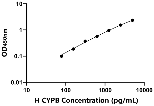 人亲环素B(CYPB)ELISA试剂盒,Human CYPB ELISA KIT