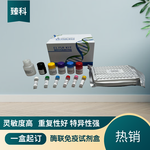 大鼠（Rat）Ⅵ型胶原α1(COL6α1）ELISA试剂盒,Rat   COL6α1   ELISA KIT