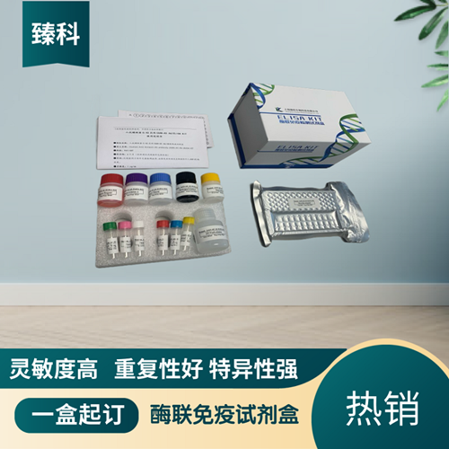 大鼠（Rat）Ⅱ型前胶原氨基端原肽(PⅡNT）ELISA试剂盒,Rat  PⅡNT  ELISA KIT