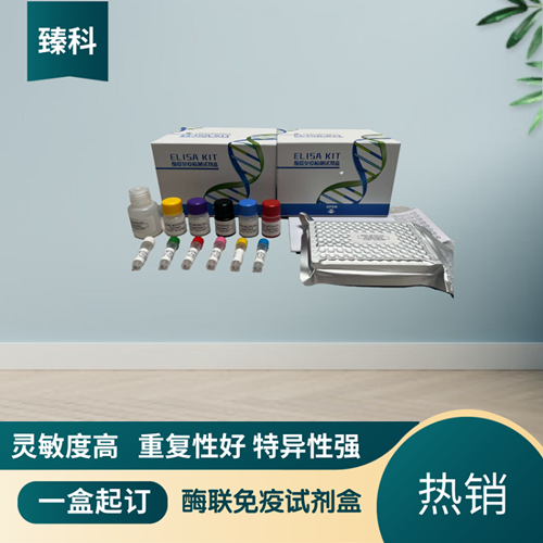 大鼠（Rat）Ⅰ型胶原交联氨基端肽(NTXⅠ）ELISA试剂盒,Rat  NTXⅠ  ELISA KIT