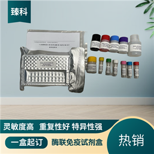 大鼠（Rat）L1-细胞粘附分子(L1CAM）ELISA试剂盒,Rat  L1CAM ELISA KIT