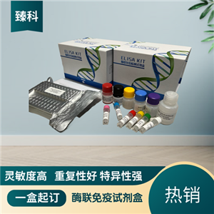 大鼠（Rat）Janus激酶2(JAK2）ELISA试剂盒