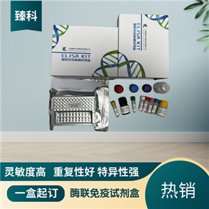 大鼠（Rat）GATA结合蛋白2(GATA2）ELISA试剂盒,Rat   GATA2   ELISA KIT