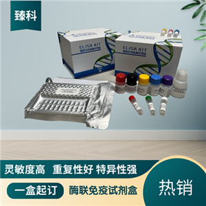大鼠（Rat）Dickkopf相关蛋白1(DKK1）ELISA试剂盒