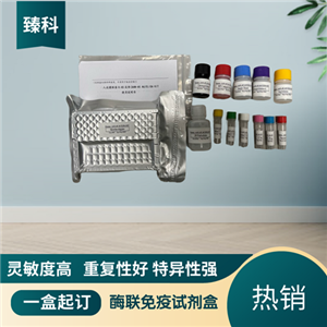 大鼠（Rat）C-肽(C-Peptide）ELISA试剂盒,Rat   C-Peptide  ELISA KIT